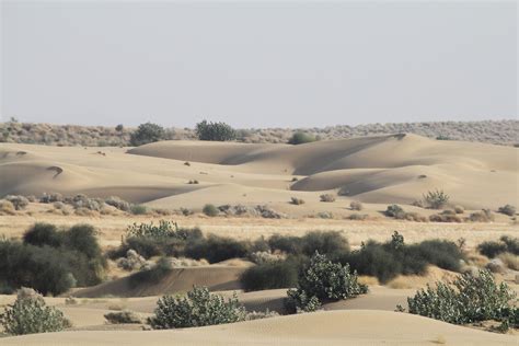 Los 8 Tipos De Desiertos Y Sus Características