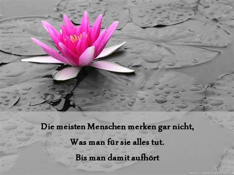 Think pink bows are the absolute best! spruch | Blumen