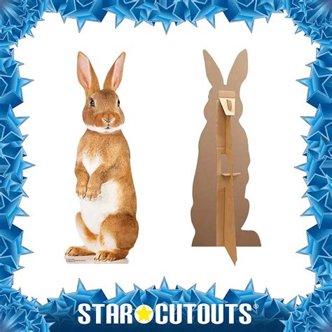 Cute Bunny Rabbit Lifesize Cardboard Cutout Standee Cutouts And