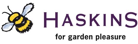 Haskins Garden Centre Ferndown Daro Cane Furniture