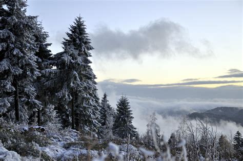 Winter Scene View In The Black Forest Germany 4288x2848 Oc R