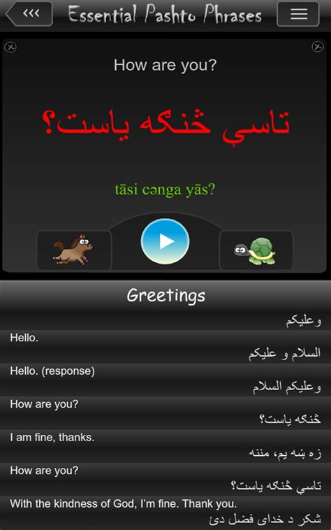 Pashto Essential Phrasesappstore For Android