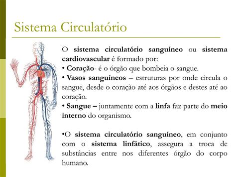 Ppt Sistema CirculatÓrio Powerpoint Presentation Free Download Id