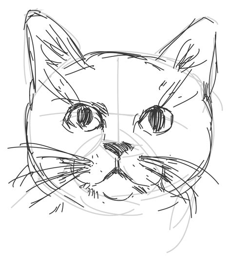 Cat Drawing In Digital Pencil Urns And Memorials Pet Portraits