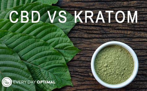 the ultimate comparison between cbd vs kratom which is best