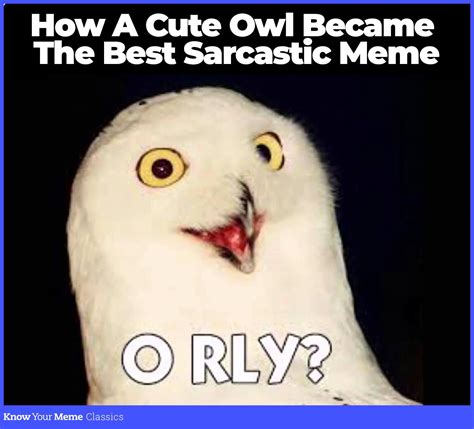 Know Your Meme O Rly Know Your Meme Classics