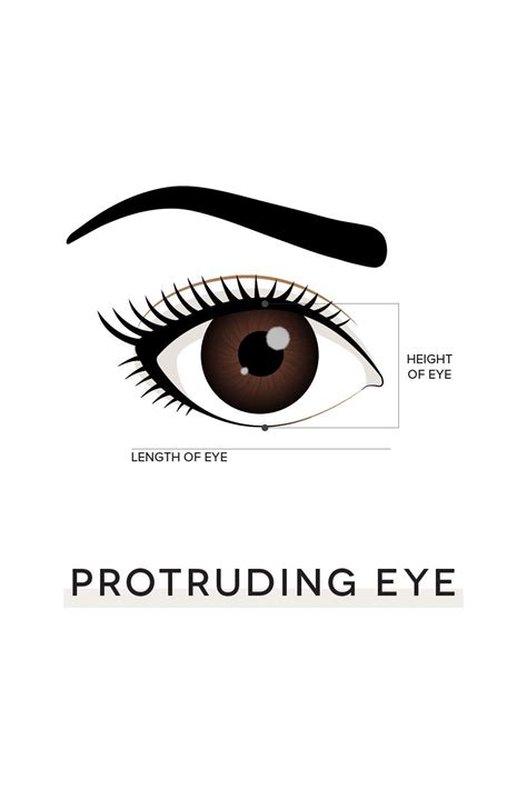 Protruding Eye Shape Protruding Eyes Eye Shapes Eyelashes