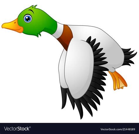 Cartoon Duck Flying Royalty Free Vector Image Vectorstock