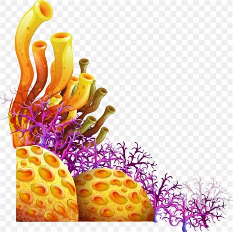 Living Corals Vector Graphics Sea Royalty Free Illustration Png