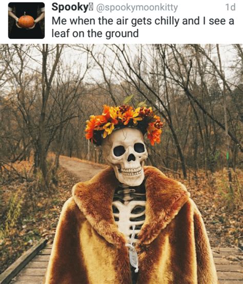 The good thing is that a child can't get into debt with a children's bank account for under 16s, some banks only let a child open an account if a parent or guardian's present. 23 (Pumpkin) Spicy Fall Memes To Get You In That Autumn Mood