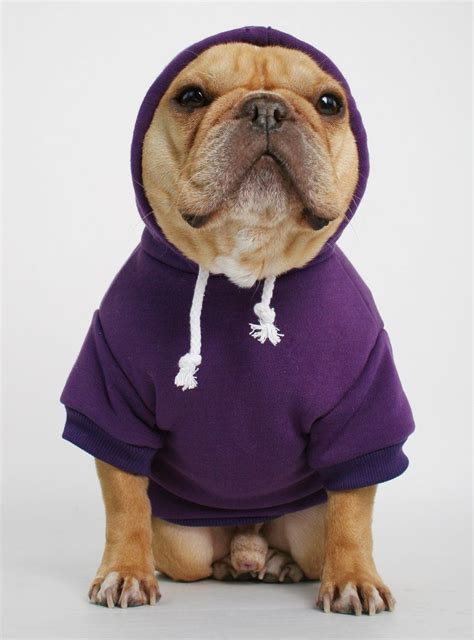 But hey, they're not just for cool looks and collecting likes! The Jasper Dog Hoodie | Dog hoodie, Dogs, Cute french bulldog