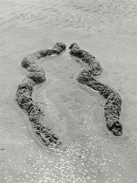 The Cleveland Museum Of Art Exhibirá Ochún Video De Ana Mendieta