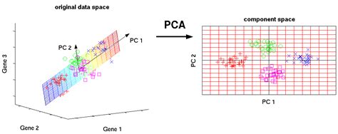 PCA Practical Guide To Principal Component Analysis In R Python