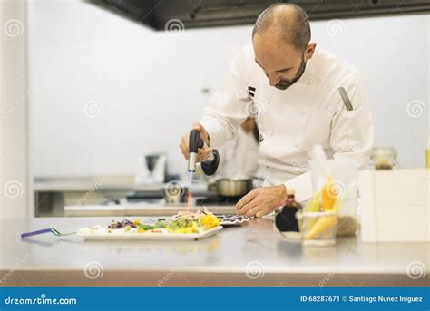 Male Professional Chef Cooking Stock Image Image Of Preparation