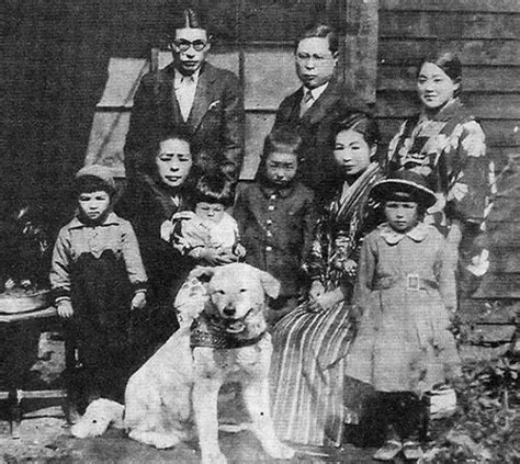Everlasting Love And Loyalty Heartbreaking Photos Of Hachiko The Dog