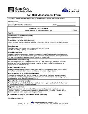 Fall Risk Assessment Form Fill Out And Sign Printable PDF Template