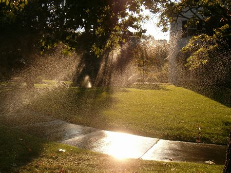 Sprinkler Overspray In An Irrigation System Ecoyards