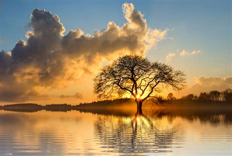 Beautiful Sunset Tree Images Photos