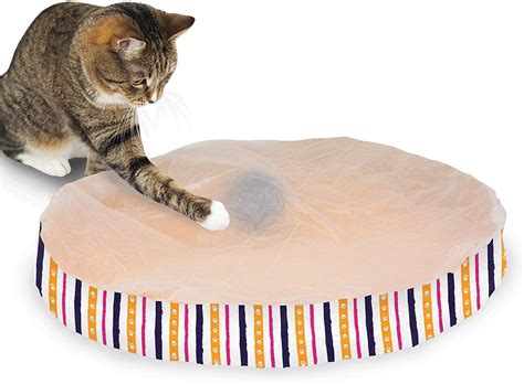 10 Best Cat Toys For Bored Cats To Keep Them Entertained Pets Carter