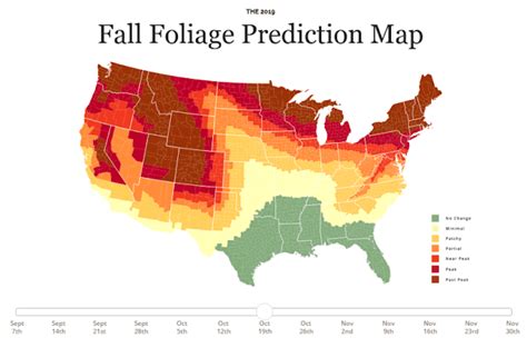 2019 Usa Fall Foliage Prediction Map