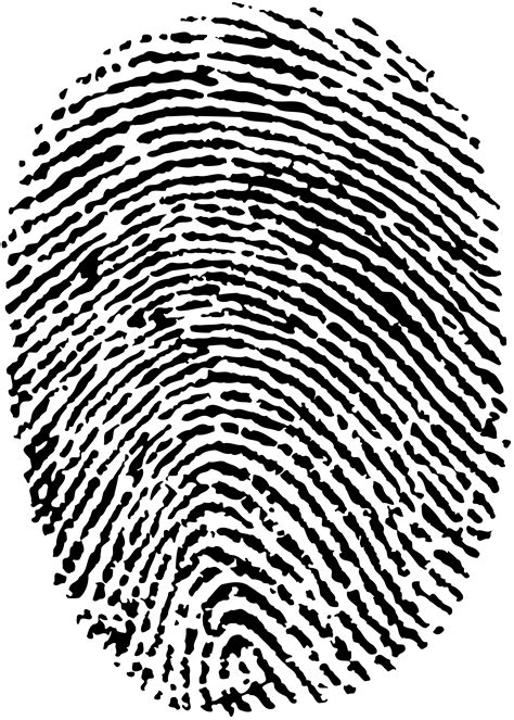 Fingerprint Png Transparent Image Download Size 2000x2800px