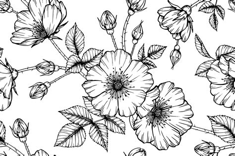Seamless Pattern Hand Drawn Wild Rose Flower And Leaves 1212806 Vector