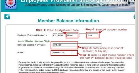 Indian Governments Useful Link Portal Step Wise Guide To Check Pf Balance