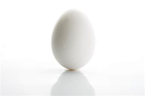 Egg Blank Template Imgflip
