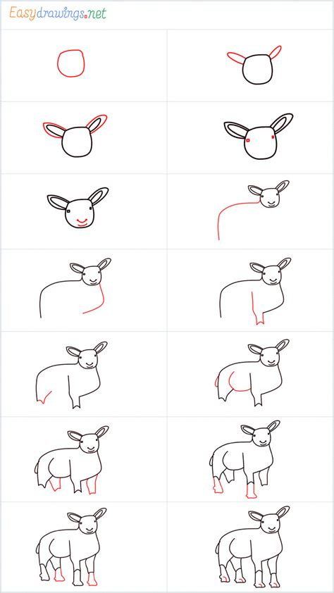 How To Draw Sheep Step By Step 14 Easy Phase