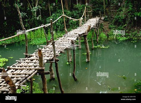 Pont En Bambou Banque De Photographies Et Dimages à Haute Résolution