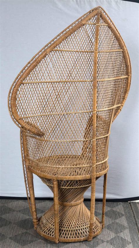 We did not find results for: Petite Rattan Peacock Chair at 1stDibs