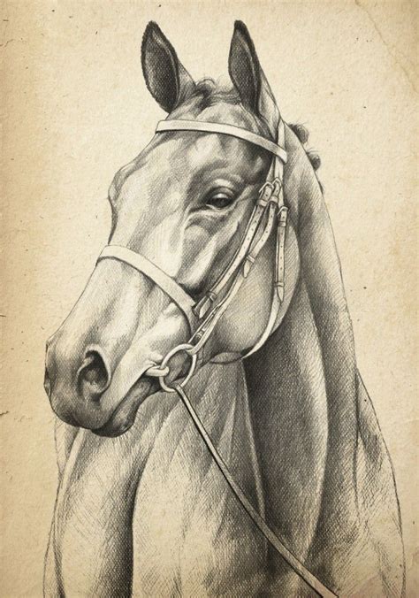 Maybe you would like to learn more about one of these? Realistic Horse Head Drawing at PaintingValley.com ...