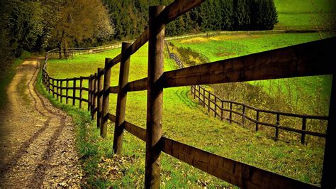 Fence Full Hd Wallpaper And Background Image 1920x1080 Id309380