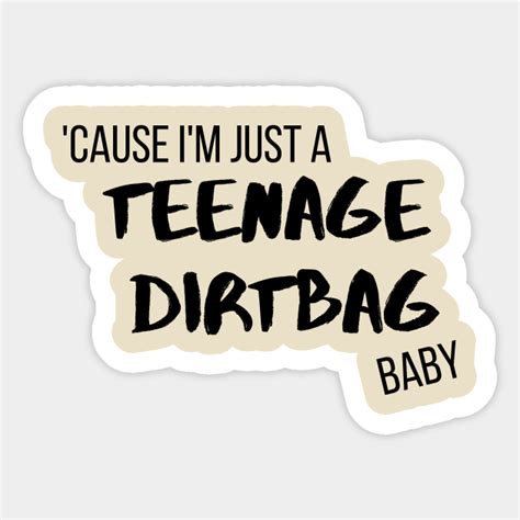 Cause Im Just A Teenage Dirtbag Baby Lyrics Sticker Teepublic