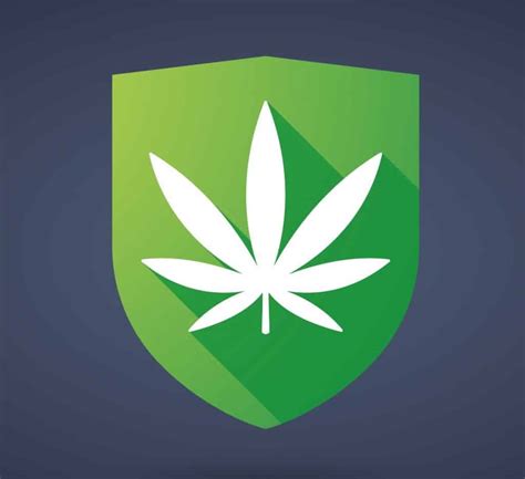 Cannabis Security Plan Download Now Dispensary Security Plan