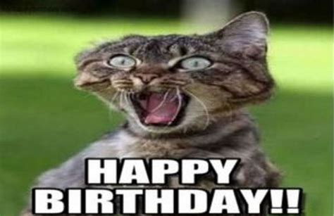 101 Funny Cat Happy Birthday Memes Cat Birthday Memes Funny Happy