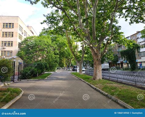 City Street On A Summer Morning Without People Stock Photo Image Of