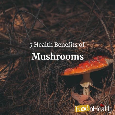 5 Health Benefits Of Mushrooms By