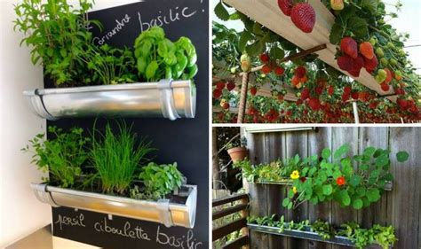 10 Rain Gutter Garden Ideas To Spruce Up Your Garden