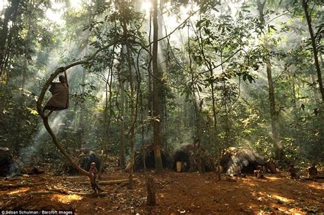 Because Of The Depleted Rainforests Surrounding The Tribe The Future