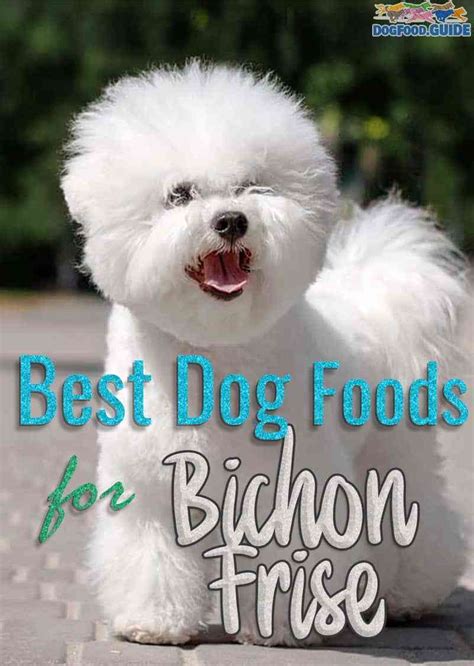 Is expanding its recent recall to include over 1000 lots of sportmix and 2. 10 Best Dog Food for Bichon Frise in 2021