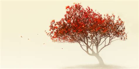 Flowers have always been a favourite subject for artists of all genres. How to Detox Someone Out of Your Life | HuffPost