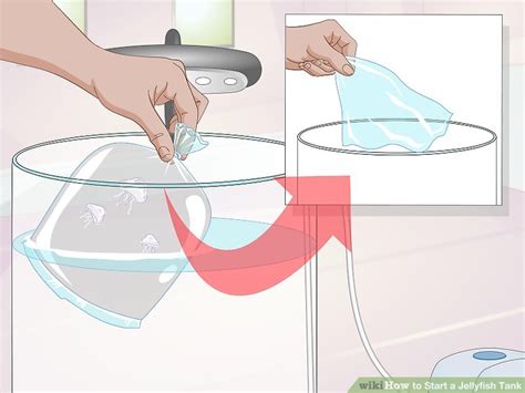 We did not find results for: How to Start a Jellyfish Tank (with Pictures) - wikiHow