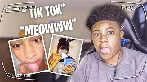 Sticking Tongue Out Cat Noises Meow Tik Tok Youtube