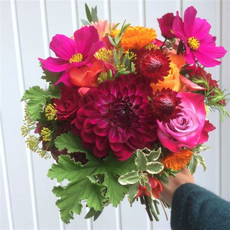We did not find results for: Colourful September Flowers - Bettie Rose | September ...
