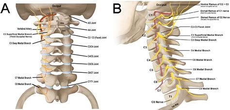 Consensus Practice Guidelines On Interventions For Cervical Spine