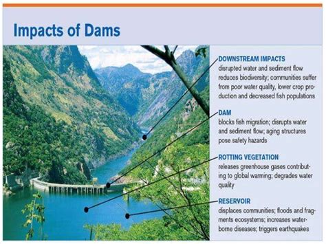 Dams And Thier Environmental Impacts