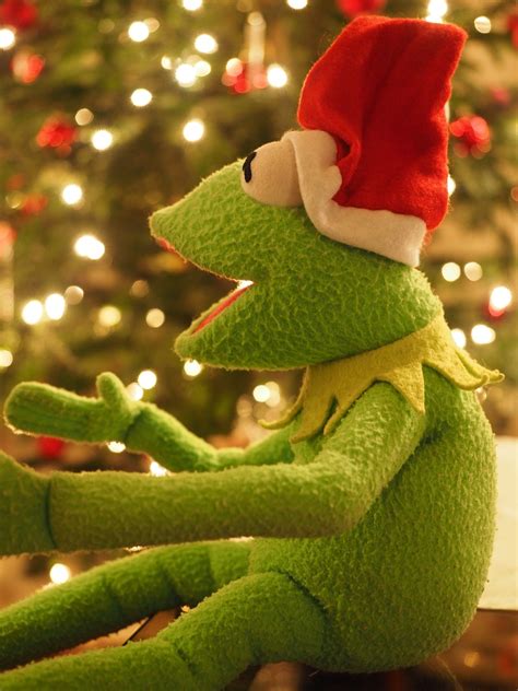Kermitfrogchristmas Frogchristmassanta Claus Free Image From