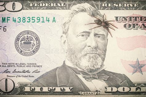 A Spider On Franklin`s Head Fifty Dollar Bills Stock Image Image Of