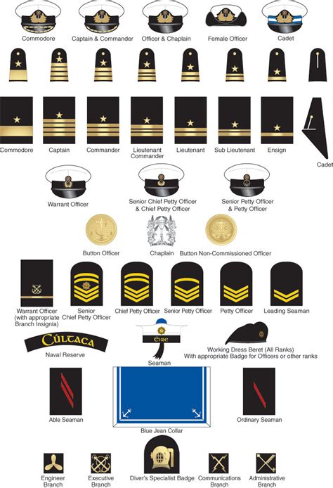Ireland Naval Service Rank Insignia